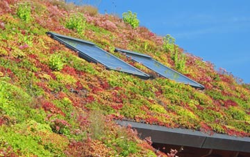 Halton East living roof systems